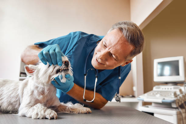Best Emergency Dentist for Special Needs Patients in Haworth, NJ